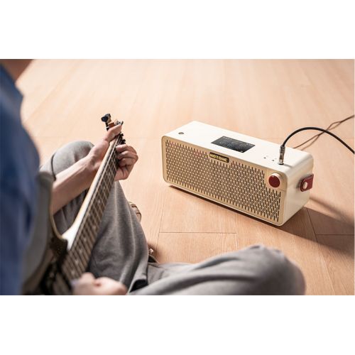 Гитарный комбоусилитель HOTONE AUDIO PULZE LUNA